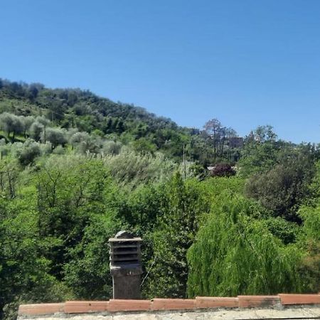 Vecchio Mulino Fontona Ortensia Chiesanuova  エクステリア 写真