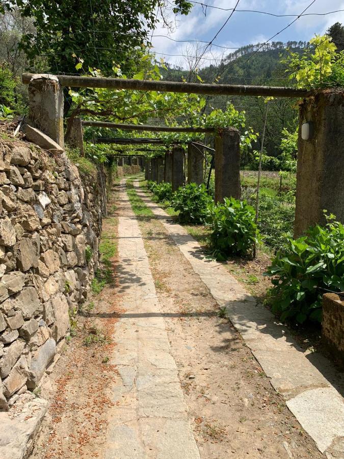 Vecchio Mulino Fontona Ortensia Chiesanuova  エクステリア 写真