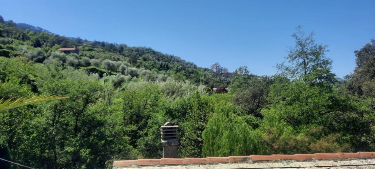 Vecchio Mulino Fontona Ortensia Chiesanuova  エクステリア 写真
