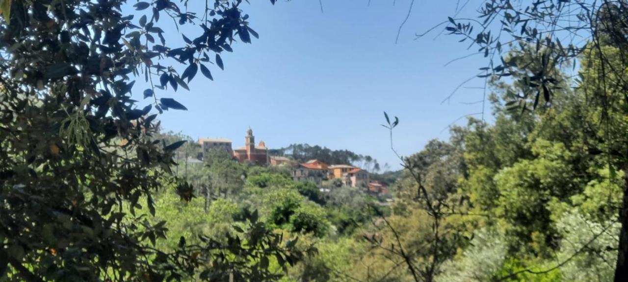 Vecchio Mulino Fontona Ortensia Chiesanuova  エクステリア 写真