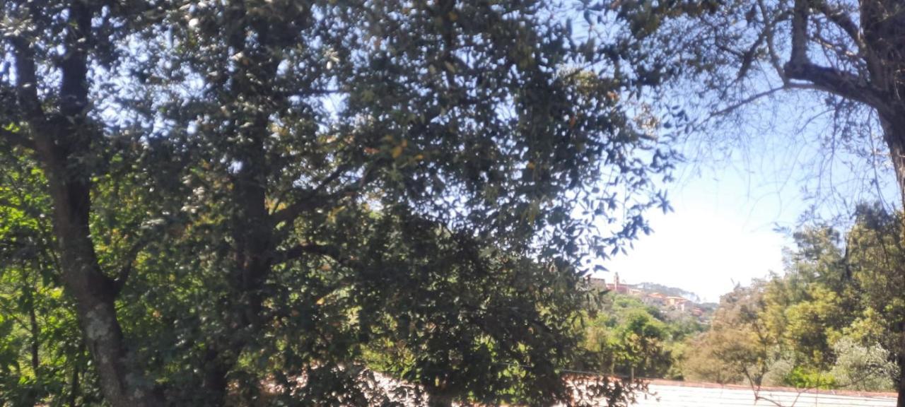 Vecchio Mulino Fontona Ortensia Chiesanuova  エクステリア 写真
